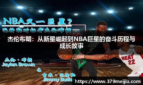 k1体育官方网站